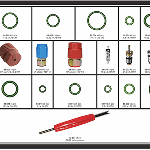 VENTIL OG O-RING SETT