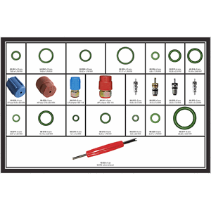 VENTIL OG O-RING SETT