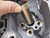PCH-90417210_Rel PCH-90417210-anw2-sauer.png