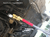 TRT-941979_Rel TRT-941979_porsche-2.png