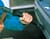 MWG-272280_Rel MWG-272280_ill.jpg