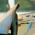 MWG-272680_Rel MWG-272680_ill.jpg