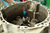 LAS-782100_Rel LAS-782100_demo2.png