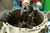 LAS-782100_Rel LAS-782100_demo3.png
