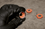 LAS-793200_Rel LAS-793200_demo.png