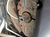 LAS-667200_Rel LAS-667200_ill.png