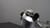 PCH-60525200_Rel PCH-60525200_demo5.jpg