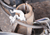 LAS-679800_Rel LAS-679800_demo-2.png