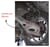 SMP-501825_Rel smp-501825_DEMO.jpg