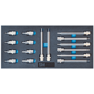 TORXPIPESETT 3/8" KORTE/LANGE I FOAM 1/3